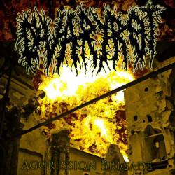 Ovaryrot : Aggression Brigade